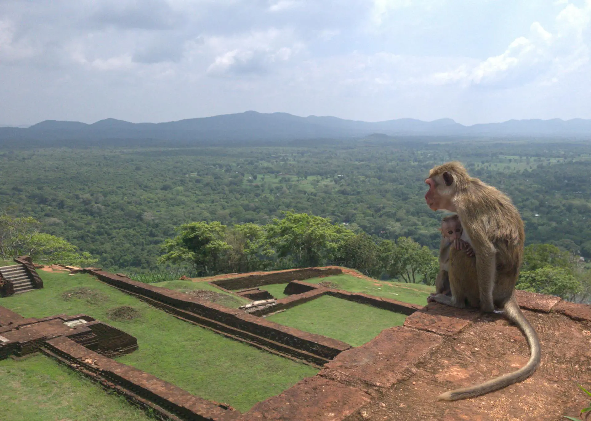 sigirya sri lanka